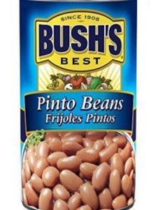 BUSHES BEST PINTO BEANS 35 TRUCKLOADS